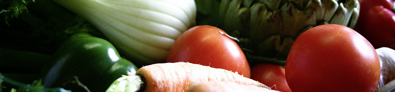 Fasten Produkte von MiraHerba